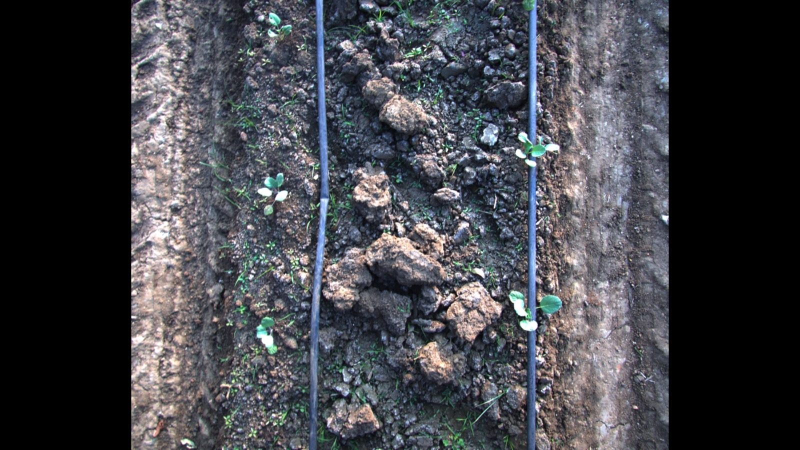 Raw agricultural field imagery